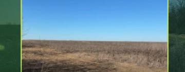 Одеська область відновлює доступ до державних земель: понад 5 тисяч гектарів виставлено на аукціон