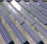 На Одещині реалізували один із найбільших в Україні проєктів сонячної енергетики для аграрної інфраструктури