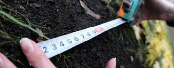 Ощадбанк виставив на продаж 60 гектарів землі на Одещині за понад 151 млн грн