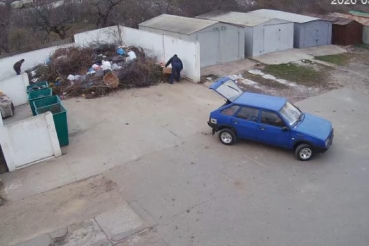 Жорстокість на наших вулицях: у Сараті та Ізмаїлі знущаються над тваринами