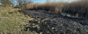 Пожежа поблизу Сухолужжя на Одещині: збитки сягають сотень тисяч гривень