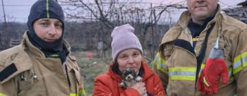 На Одещині рятувальники витягли з пастки маленьке цуценя
