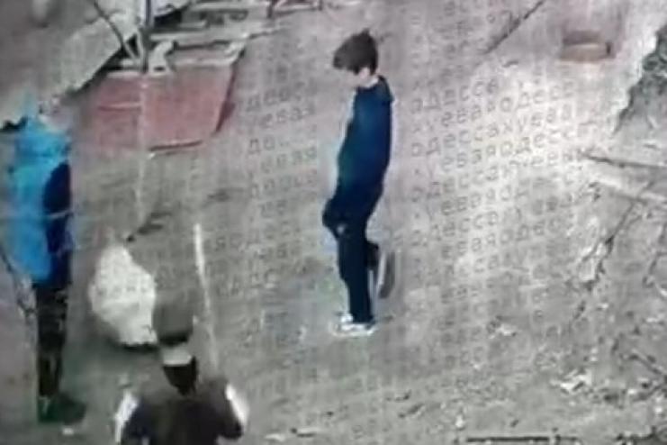 На Одещині троє малолітніх братів жорстоко поводилися з птицею: матір притягнуть до відповідальності