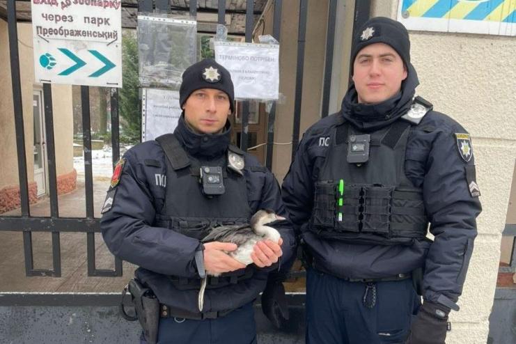 Від врятованого птаха до боротьби за життя: Білошицький розповів більше про поранених патрульних з Одеси