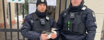 Від врятованого птаха до боротьби за життя: Білошицький розповів більше про поранених патрульних з Одеси