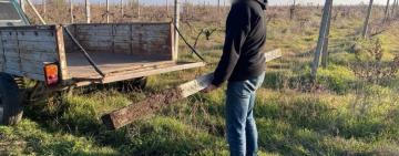 Жителя Болграда засудили до шести років ув’язнення за крадіжки, проникнення до житла та тяжке поранення знайомого