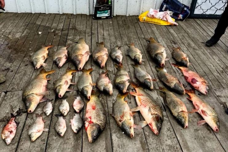 На Дністровському лимані викрили браконьєра: збитки державі перевищили 390 тисяч гривень