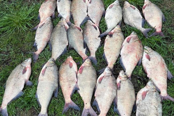 На Одещині викрили незаконний вилов ляща: збитки державі перевищили 34 тисячі гривень