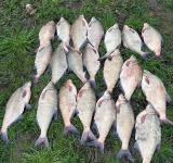 На Одещині викрили незаконний вилов ляща: збитки державі перевищили 34 тисячі гривень