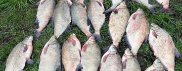 На Одещині викрили незаконний вилов ляща: збитки державі перевищили 34 тисячі гривень