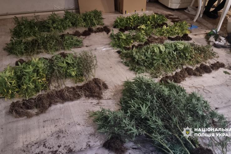 В Одесі до суду скеровано справу наркоділка, який організував багатомільйонний збут наркотиків через інтернет