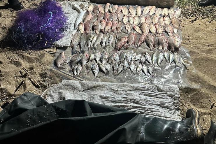 На Дністровському лимані викрили браконьєрів із незаконним уловом на понад 274 тисячі гривень