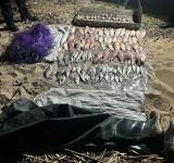 На Дністровському лимані викрили браконьєрів із незаконним уловом на понад 274 тисячі гривень