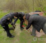 В Ізмаїлі поліцейські зробили доброю традицією турботу про безпритульних тварин