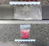 Болградські поліцейські викрили наркоділка з Ізмаїла: розкладав десятки «закладок» із психотропами