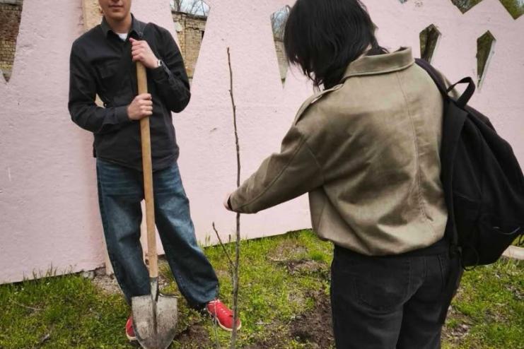 В одній із шкіл Арциза провели акцію "Посади дерево"