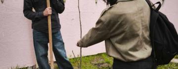 В одній із шкіл Арциза провели акцію "Посади дерево"