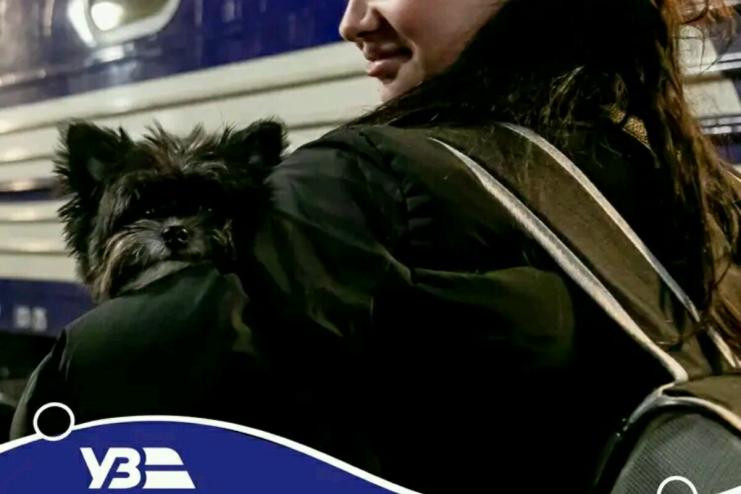 Укрзалізниця додала жіночі вагони у 3 поїздах