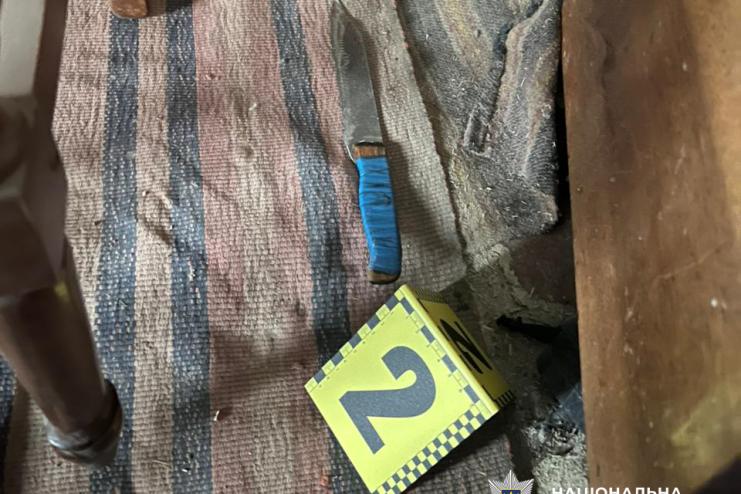 Ревнощі всьому виною: на Одещині брат ударив брата-близнюка під час застілля