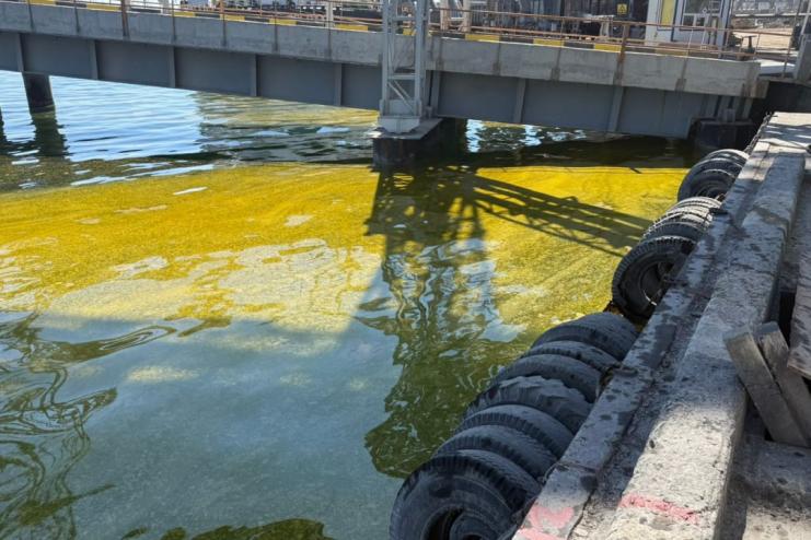 Після обстрілу Чорноморська в акваторії порту зафіксували розлив олії: триває оцінка збитків