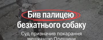 У Болграді чоловіка засудили за жорстоке побиття собаки: вирок із випробувальним строком викликав дискусію