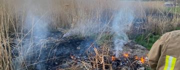Правоохоронці закликають жителів Одещини не спалювати суху траву та сміття