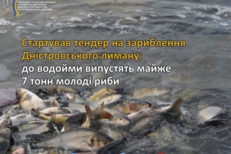 На зариблення Дністровського лиману виділять майже 7 тонн молоді риби