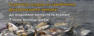 На зариблення Дністровського лиману виділять майже 7 тонн молоді риби