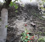 Жителю Арциза загрожує до 8 років в'язниці за смерть співмешканки від переохолодження
