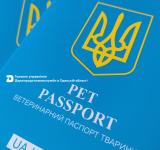 Новий ветеринарний паспорт для домашніх тварин: що змінюється для власників