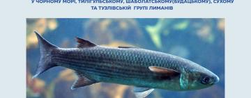 На Одещині запровадили сезонну заборону на вилов азово-чорноморських кефалей