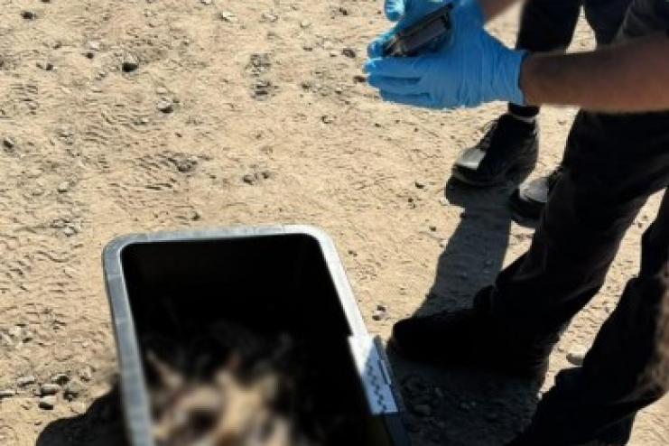 Устріляв 31 перепілку під час заборони: на Ізмаїльщині водна поліція викрила браконьєра з Одеси