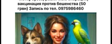 В Ізмаїлі після стерилізації собаки в її черевній порожнині виявили операційне полотно