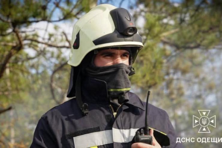 У Вилковому сталася пожежа в лісовому масиві