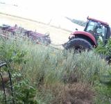 На Одещині судитимуть ексголову сільради через незаконну оренду майже 140 гектарів землі